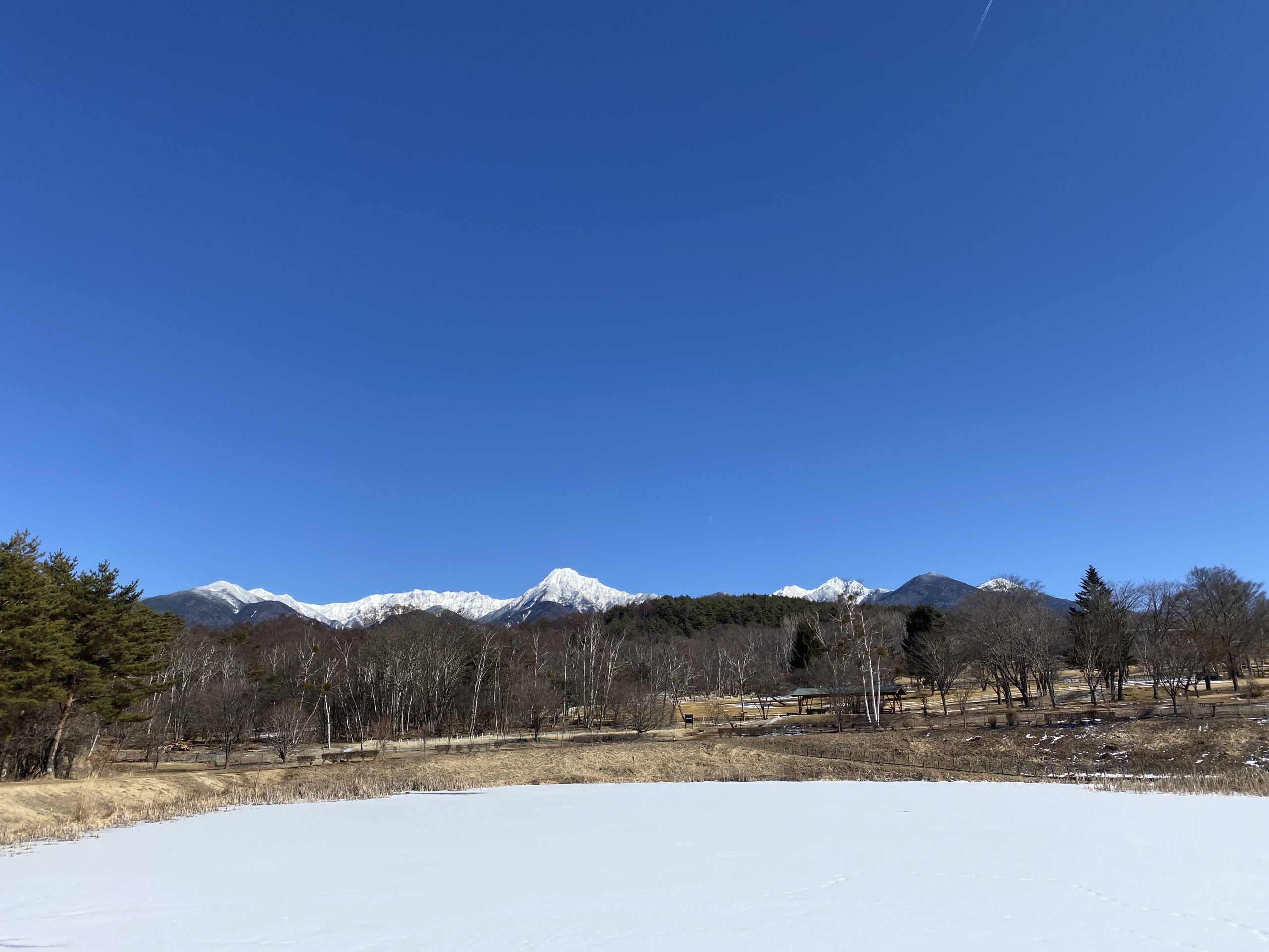 楽しむ、暮らしとアート